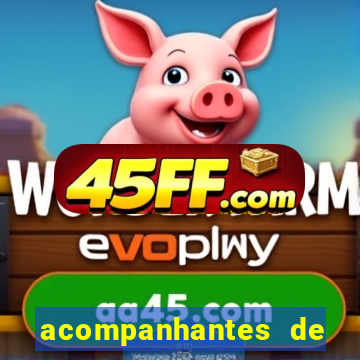 acompanhantes de feira de santana